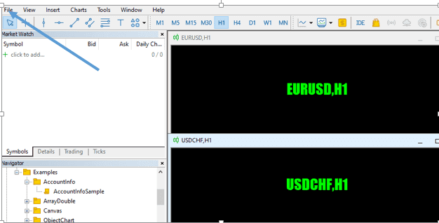 Click File at the top left hand side of the MT5 interface