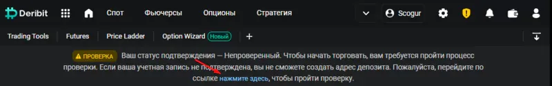 deribit-nachat-verifikaciyu.webp deribit-nachat-verifikaciyu.webp